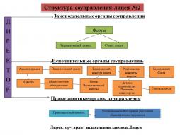 Структура соуправления Лицея №2