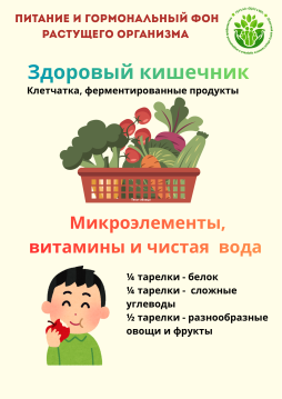 Питание и гормональный фон растущего организма 1